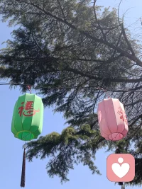 你以为自信是一种感觉，不是的，自信是一种能力！