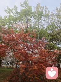 强者活在事情里，弱者活在情绪里，真正厉害的人早就把生活调成了静音模式。