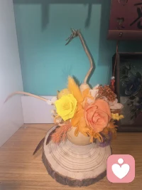 不慌不忙，自带光芒。配图