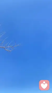 认证通过啦～～配图