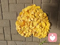 电诈一年整，从负债累累到还有10/1的负债，我用一年时间活出了，只要人在就有机会翻盘，大修行在红尘，不逃避、直面问题，穿越问题，我依然还是那个我，但是我的内核已大不同配图