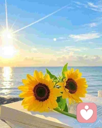 对于那些想要消耗你的人。你的高姿态，高价值，高门槛，才是一种慈悲。让他们早点碰壁，早点去寻找真正适合他们的路，而不是浪费彼此的时间，助长不劳而获的心态。配图