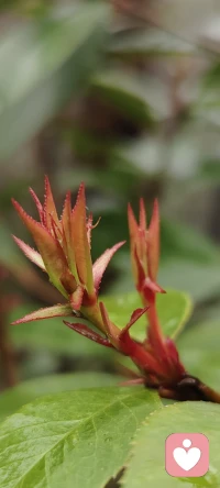 我在这里，静静地为你预留了一个安全的角落。

如果你心里有些情绪需要安放，有些话找不到人诉说，或者只是希望有个人能耐心听你说说话——我在这里。

期待相遇，陪你度过配图