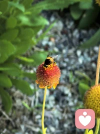 在喧嚣的世界里，为您保留一片只属于声音的净土。在这里我们常常渴望被听见，胜过被解答。配图