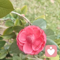 1.世间万物皆温柔，唯独你，需放过自己心头的囚。配图