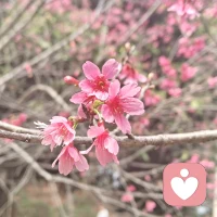 心底的创痕，似严冬封冻的江河，唯有岁月的暖流与真挚的温情，方能一寸寸化开沉寂的坚冰。配图