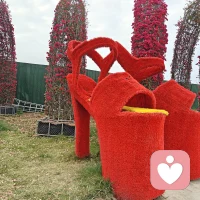 我们明明在过自己的生活，有的时候，却不由自主地与他人比，比谁的成绩更好，比谁拥有得更多。然而，生活从来不在别人嘴里，而在自己心里，与其在意他人眼光，不如专注自己脚下配图