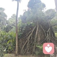 老天为了渡你 用你执着的东西一遍一遍的磨练你 直到你不在执着为此 变成平静的人 这一课需要流很多眼泪    但是别怕   我在