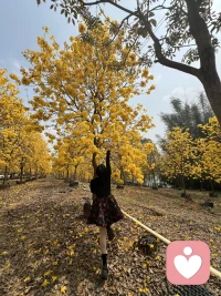 谁的生活不是一地鸡毛，只是有的人选择歇斯底里，有的人选择沉默不语，如果无能为力，那就顺其自然，如果心无所待，那就随遇而安。释怀、尽力、随缘。配图