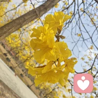 不要提前焦虑，也不要预知烦恼，生活就是见招拆招。该经历不该经历的都已经经历了，该忍受的不该忍受的都已经吞下了，天大的事情，顺其自然，也不过如此。 人生不过三万天，健康快乐最值钱！配图