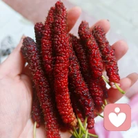 以后要做自己日记里的主角配图