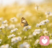 愿你不必为难愿每一个在自我纠结里辗转的人，都能慢慢卸下心里的负担与羞耻。
 
不必因为与众不同而苛责自己，不必因为不被理解就否定自己。
 
在不伤害他人、不违背底线的前提下，你完全可以坦然做自己。
 
被看见、被包容、被温柔以待，是每个人都该拥有的权利。
 
愿你与自己和解，接纳全部的真实，拥有不被裹挟的自由，和安稳平静的内心。
 
#心理科普 #心理健康 #自我接纳 #情绪疗愈 #亲密关系 #人性多元 #情绪疏导 #治愈自己 #心理成长 #接纳自我己，安心做你就好配图