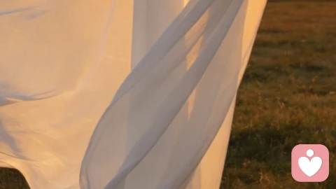 致每一个在性别迷雾里，独自撑了很久的你