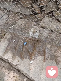 这个年头最不缺的就是道理，论站在对的方向讲道理能听到的真的太多了，你需要的是一个人坚定不移的认同感，坚定不移的站在自己这边配图