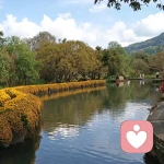 岚欣倾听的头像