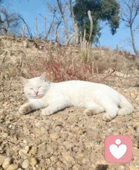 其实，这个世界上的本质就是你一个人的世界。你在，这个世界就在。你不在了，这个世界也就消失了，所以不要去纠结你在这个世界上的得失与否，也不要执念人际关系的对与错，更不要去焦虑未来还没有发生的事。
          
          人生它本身就没有意义，你的体验才是意义，你的快乐才是意义。
          好好爱自己哦。配图