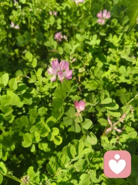 人生不必事事较真，过得去就行，对得起自己就好。配图