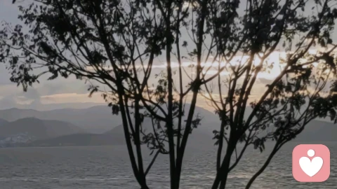 从心理学的角度去看待婚姻中的第三者\n第二篇 出轨的人，从来不是“爱上别人”，是逃避自己