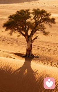 我不是心理医生，我只是愿意安安静静听你说话的人。配图