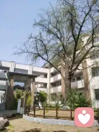 低谷这事儿吧，说白了就是：干啥啥不顺，看啥啥烦心，觉得自己就是个废物。这感觉谁都经历过，别觉得丢人。

想走出来？别听那些“拥抱痛苦”的鸡汤。我给你几条真正有用的土办法：

1. 先允许自己“烂”几天

别急着打鸡血。实在不想动，就躺着。外卖随便点，剧随便刷，想哭就哭，想骂就骂。低谷期最怕的就是逼自己“立刻好起来”——那只会让你更崩溃。

给自己定个“摆烂期限”，比如3天。这3天里你最大的任务就是：活着就行。别管什么进步不进步，先把那股憋着的劲儿散掉。

2. 从一件“能立刻做完”的小事开始

别想“怎么走出人生低谷”这种大问题，一想就完蛋。就想：我今天能干啥？

· 把堆了几天的碗洗了
· 下楼扔个垃圾顺便透口气
· 洗个热水澡换上干净睡衣
· 把乱成一团的桌面收拾出来一块

做完一件算一件。别小看这些破事——做完之后那个“嗯，我还能动”的感觉，是你爬出来的第一步。

3. 找人聊聊，但别指望对方能解决

憋着最容易出问题。找你觉得最安全的那个人（朋友、家人、甚至网友），直接说：“我最近特别难受，你听我说几句就行，不用讲大道理。”

如果实在找不到人，拿手机录音自己跟自己说，说完删了都行。把脑子里的乱麻倒出来，你会舒服很多。

4. 砍掉一切“消耗你”但不“必须做”的事

低谷期你的能量本来就少得可怜，别浪费。

· 不想回的消息？不回
· 不想去的饭局？推掉
· 刷到让你焦虑的短视频？划走，甚至删掉那个app

把省下来的那点力气，全用在你觉得“还有点意思”的事情上——哪怕只是发呆听歌。

5. 承认“我现在就是不行”，反而轻松了

最折磨人的不是低谷本身，而是“我不应该这样”的念头。

试试换一种说法：“对，我现在就是状态烂，能力不行，运气也不好。然后呢？”

认了反而就不慌了。你已经到底了，再坏还能坏到哪去？接下来每一步，都是往上。

最后说句实在话：

别指望什么“顿悟时刻”。大多数人走出低谷，不是突然想通了什么大道理，就是一天天硬熬过去的。今天比昨天多干了一件小事，就是进步。

别想着“走出来”，想着“熬过今天”就行。 明天的事明天再说。

你还在呼吸，心脏还在跳，就没彻底输。