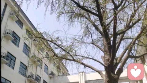 怎样对待自己的低谷期（接地气）