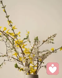 我经常有那种感觉，如果这个事来了，你没有勇敢地去解决掉，它一定会再来。生活真是这样，它会一次次地让你去做这个功课，直到你学会为止。