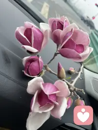 愉快的周末配图