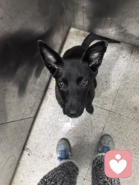 治愈心情的方法有很多，疗愈我的是美食、旅游和爱宠！
你呢？可以找我来解忧！配图