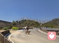 我们一起呼吸放松的气息吧配图