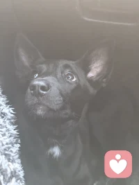 请珍惜你现在所拥有的一切
因为有些人在不经意之间
已经见完了最后一面配图