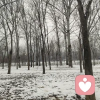 一边看雪，一边温暖别人，也温暖自己，这种日子太踏实了。