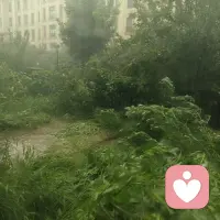 干不完的活，一边倾听一边等雨停，生活本来就应随心随意