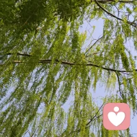 随心、随意、随缘