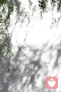 老子说:“圣人为腹不为目。”人的肚子是有限的，但人心无限，眼为心之门户。目表达的是贪心。如果只是一日三餐，能吃饱饭，其实这个时代没有人不幸福。只是大多数人都在为目，很少人为腹。
