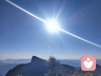 撕裂自己，才会光芒万丈配图