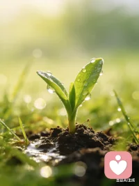 把情绪调成静音模式，专注自己，踏实前行，越努力越幸运。配图