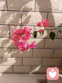 生活再难，也有人懂你。在给力心理，好好被倾听，慢慢被治愈。配图