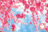 早安🌞
新的一天，不被烂人消耗，不被琐事内耗。
专注倾听真正需要温暖的人，守住边界，温柔且有力量。
用心做好自己，好运自会相遇。配图