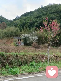 早安～生活难免有起伏，没关系，你不用独自硬撑。所有情绪都值得被看见、被温柔以待。我在，一直都在。配图