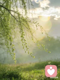 清明，是缅怀，也是安放。
把惦念交给春风，把遗憾交给时间。
不必沉湎于过往的伤，也不必急着奔赴未来。
在这个春日渐暖的日子里，
愿你的心有处可依，愿你的日子安稳如常。
清明节，愿你平安健康，万事顺遂。