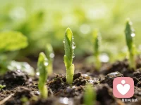 心里难受、委屈、失眠、没人理解，都可以来聊聊。
不评判、不打断，安心倾诉，我在这里听你说。