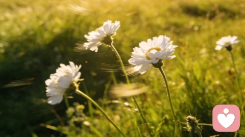婚姻里最伤人的，从来不是吵架，而是沉默