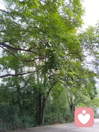 真正治愈你的，从来不是时间，
而是你慢慢想通、学会放下的那一刻。
 
内耗少一点，执念浅一点，
好好爱自己，胜过一切。