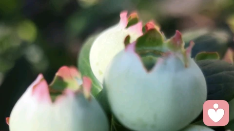 总是情绪低落、不是你不好