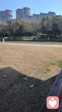 这环境适合倾听者工作吗？ 专注于已婚女人的情感故事倾听   男配图