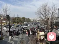 今年初三去的龙华人流堪比南京路！配图