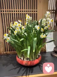 今年初三去的龙华人流堪比南京路！配图