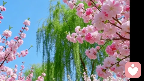 大家好,我是解语海绵,在这个社会里,人与人之间的关系,工作关系,情侣关系,婚姻关系,父母之间的沟通,都是需要你去平衡的,如果你找不到倾诉的对象,可以来找我!