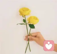 时间最会骗人，但也能让你明白，这个世界没有什么不能失去的，离去的都是风景，留下的才是人生，走到最后的，就是对的人。