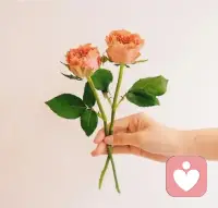 时间最会骗人，但也能让你明白，这个世界没有什么不能失去的，离去的都是风景，留下的才是人生，走到最后的，就是对的人。